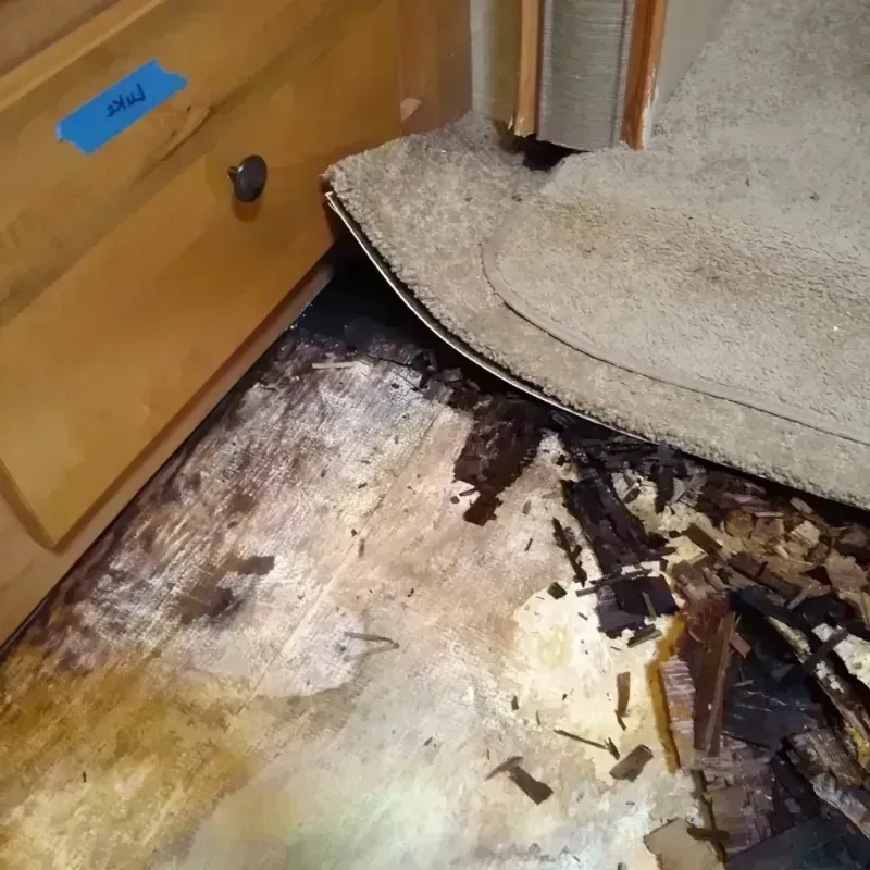 Wood Floor Water Damage in Stagecoach, NV